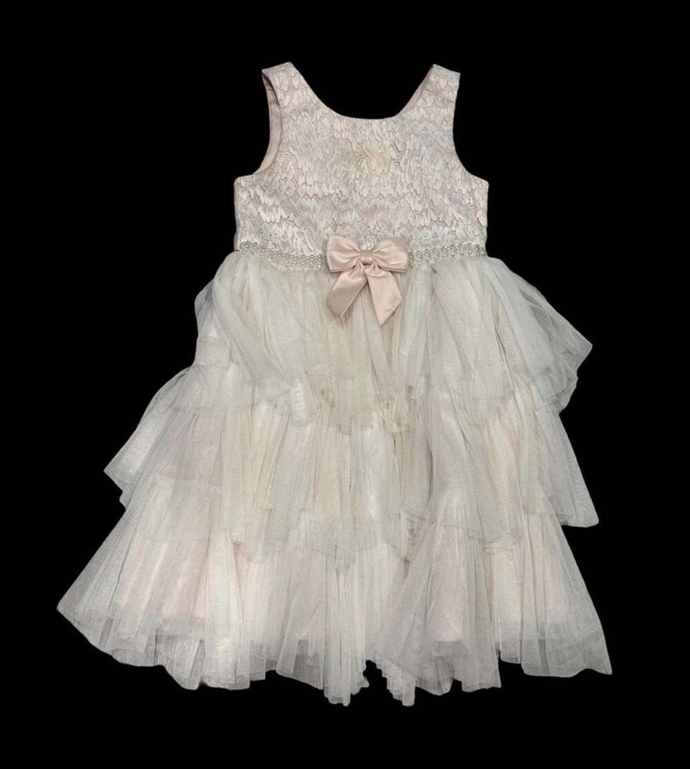 Princess Collection Girls Ivory Blush Lace Tulle Tiered Formal Party Dress